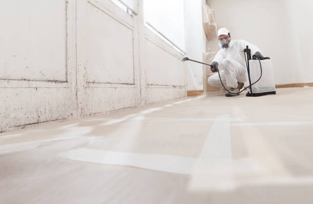 24/7 Emergency Mold Remediation experts in Andover, MN