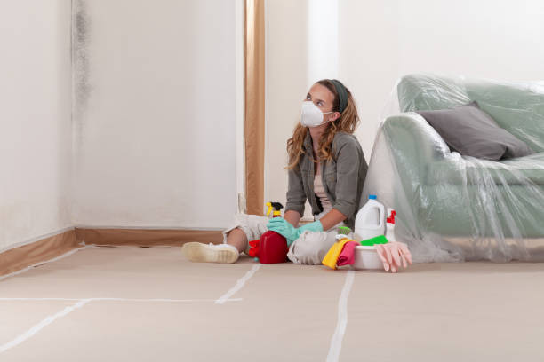 Reliable Mold Remediation contractor in Andover, MN by WQB Mold Removal